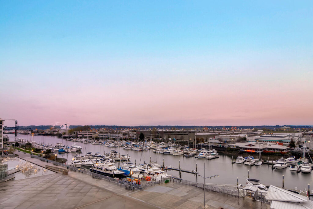 busy marina with lots of boats
