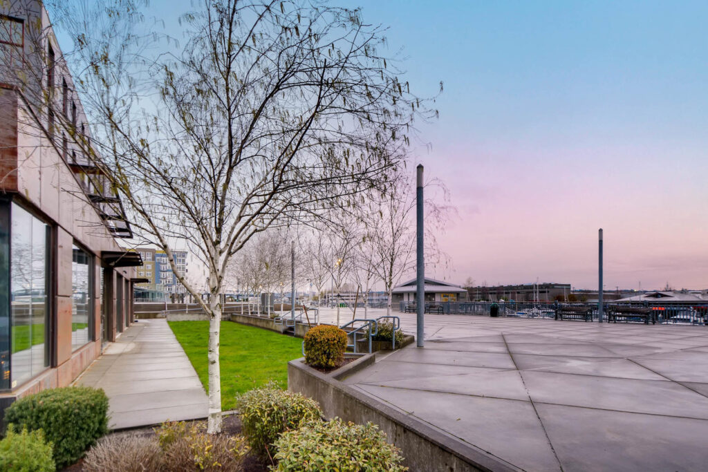 Tree lined boardwalk by the water