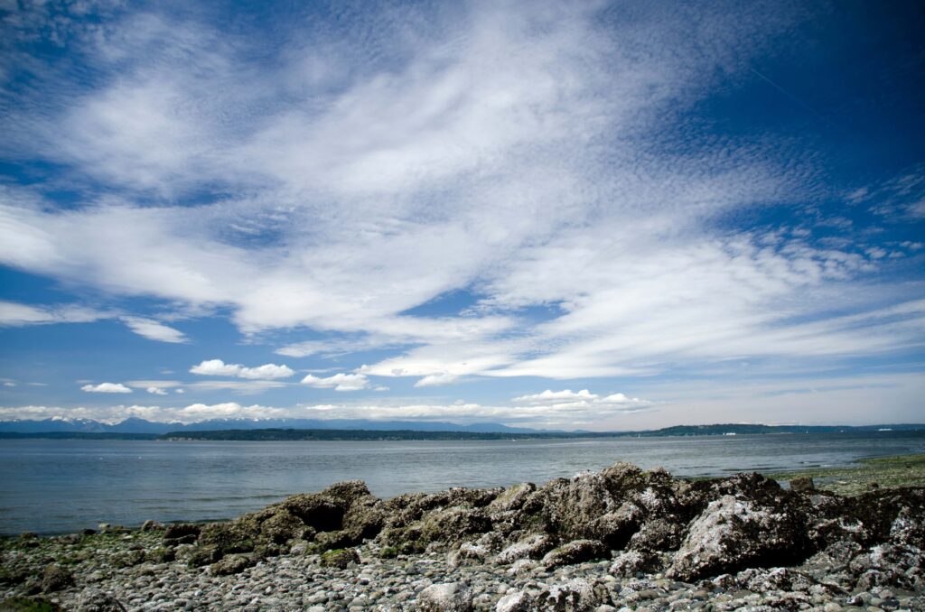 A rocky shoreline next to water, mountains in the distance